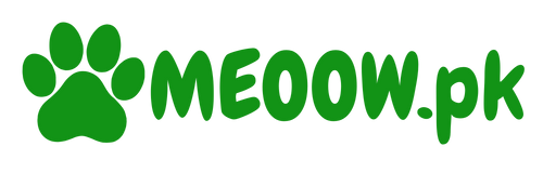 Meoow.pk