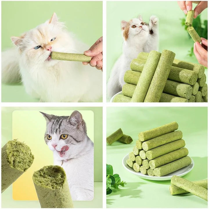 Cat Grass Teething Sticks for Hairballs & Constipation